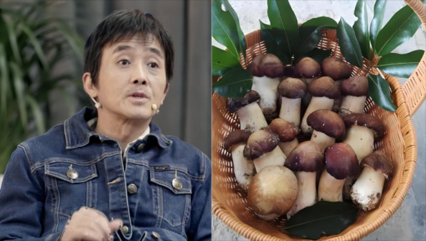 白小姐急旋风彩色全年图纸,难哄剧情被网友吐槽恶趣味,动态词语解释落实_免费版V4.41